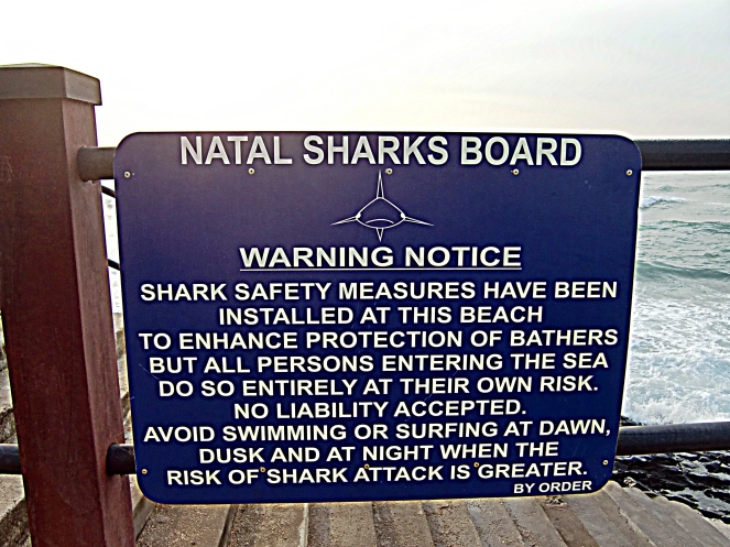warning sharks